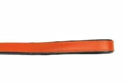 Gloria Pets Cuir Rembourré Orange -Miscota Soldes Boutique CR07911NA 5 637e030cb6695 g