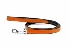 Gloria Pets Cuir Rembourré Orange -Miscota Soldes Boutique CR07911NA 637e030c3455e g