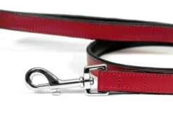 Gloria Pets Ceinture De Peau Rembourrée Rouge -Miscota Soldes Boutique CR07911RJ 2 637e0346ea146 g