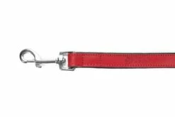 Gloria Pets Ceinture De Peau Rembourrée Rouge -Miscota Soldes Boutique CR07911RJ 4 637e034888a4e g