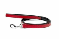 Gloria Pets Ceinture De Peau Rembourrée Rouge -Miscota Soldes Boutique CR07911RJ 637e034772969 g