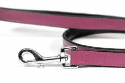 Gloria Pets Cuir Rembourré Rose 11 Gloria Pets Cuir Rembourré Rose -Miscota Soldes Boutique CR07911RO 2 637e03614aa12 g