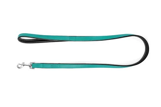 Gloria Pets Sangle En Cuir Rembourré Turquoise 3 Gloria Pets Sangle En Cuir Rembourré Turquoise