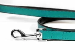 Gloria Pets Sangle En Cuir Rembourré Turquoise 9 Gloria Pets Sangle En Cuir Rembourré Turquoise -Miscota Soldes Boutique CR07911TQ 2 637e038367d57 g