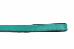 Gloria Pets Sangle En Cuir Rembourré Turquoise 11 Gloria Pets Sangle En Cuir Rembourré Turquoise -Miscota Soldes Boutique CR07911TQ 5 637e0384749e5 g