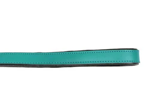 Gloria Pets Sangle En Cuir Rembourré Turquoise 6 Gloria Pets Sangle En Cuir Rembourré Turquoise – Image 4