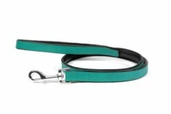 Gloria Pets Sangle En Cuir Rembourré Turquoise 10 Gloria Pets Sangle En Cuir Rembourré Turquoise -Miscota Soldes Boutique CR07911TQ 637e0383e14ae g