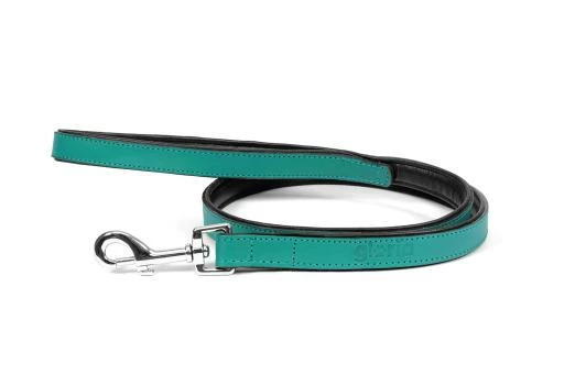 Gloria Pets Sangle En Cuir Rembourré Turquoise 5 Gloria Pets Sangle En Cuir Rembourré Turquoise – Image 3