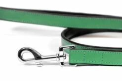 Gloria Pets Sangle En Cuir Rembourré Vert -Miscota Soldes Boutique CR07911VE 2 637e03a154f27 g