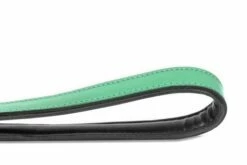 Gloria Pets Sangle En Cuir Rembourré Vert -Miscota Soldes Boutique CR07911VE 3 637e03a352b16 g