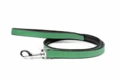 Gloria Pets Sangle En Cuir Rembourré Vert -Miscota Soldes Boutique CR07911VE 637e03a1d87ec g