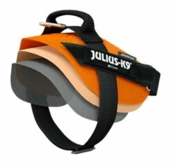 Julius K9 Verano Azul Powair 7 Julius K9 Verano Azul Powair -Miscota Soldes Boutique Captura 62b99cca42533 g