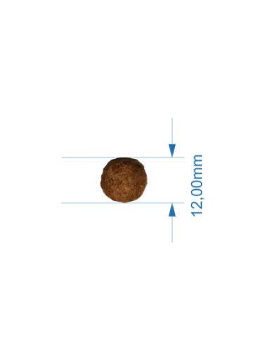 Lenda Nourriture Légère Pour Chiens Adultes 4 Lenda Nourriture Légère Pour Chiens Adultes – Image 2