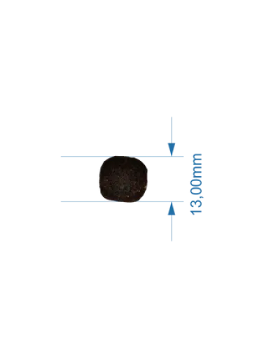Lenda Nourriture Au Saumon Pour Chiens Adultes 4 Lenda Nourriture Au Saumon Pour Chiens Adultes – Image 2