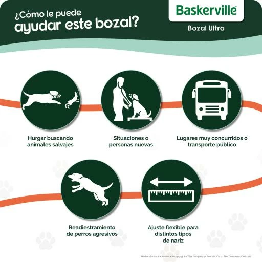 The Company Of Animals Baskerville Ultra Muzzle 8 The Company Of Animals Baskerville Ultra Muzzle – Image 6