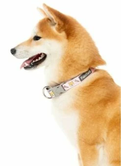 FuzzYard Collier Sushiba En Néoprène Rose -Miscota Soldes Boutique FZCL129 31 Collar Neo SuShiba Dog 4 1 1024x1024 62c2a63fad970 g