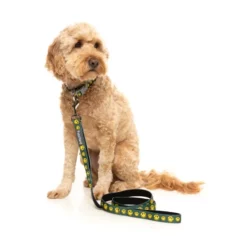 FuzzYard Biggie Smiles Laisse En Néoprène Pour Chiens -Miscota Soldes Boutique FZCL489 91 Collar BiggieSmiles Dog03 8562f991 5034 4a8f bfd6 69e044c7c792 1024x1024 63f4a5debae5d g