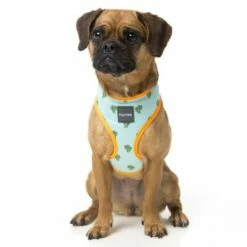 FuzzYard Harnais Tucson -Miscota Soldes Boutique FZH105 1 62c2a1d8a0f11 g