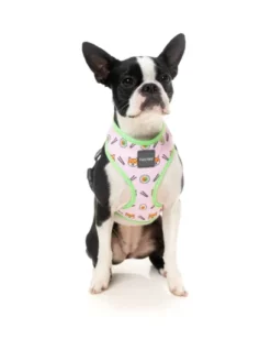 FuzzYard Harness Sushiba -Miscota Soldes Boutique FZH266 70 Harness SuShiba Dog 3 1024x1024 62c296f64b715 g