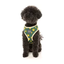 FuzzYard Harnais Biggie Smiles Pour Chiens -Miscota Soldes Boutique FZH602 6 Harness BiggieSmiles Dog05 1024x1024 63f49d82bdca7 g