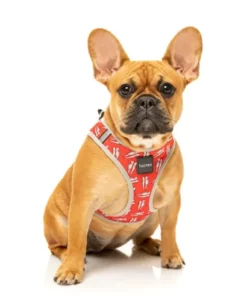 FuzzYard Arnés Step In Fresh Kicks Para Perros -Miscota Soldes Boutique FZHS297 302 StepinHarness FreshKicks Dog01 1024x1024 63fddb16e522d g