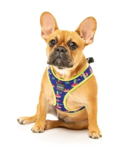 FuzzYard Arnés Step In Extradonutstrial Para Perros 7 FuzzYard Arnés Step In Extradonutstrial Para Perros -Miscota Soldes Boutique FZHS339 44 StepinHarness ExtraDonutstrial Dog01 1024x1024 63fdd7672c3c3 g