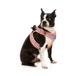 FuzzYard Harnais Step In Aloha Dolphins Pour Chiens -Miscota Soldes Boutique FZHS453 8 StepInHarness AlohaDolphins Dog03 1024x1024 63ee1d3618dbc g