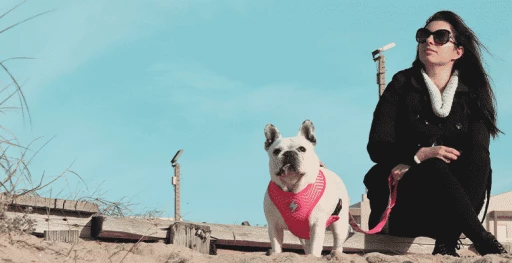 Dashi Harnais Flamingo Neo 6 Dashi Harnais Flamingo Neo – Image 4