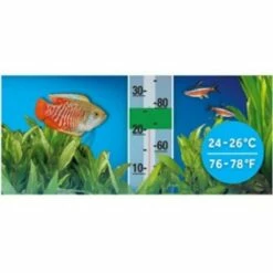 Fluval Chauffage Série P25 -Miscota Soldes Boutique Fluval A744 P25PreSetAquariumHeater B3 Int 64a851cb10144 g