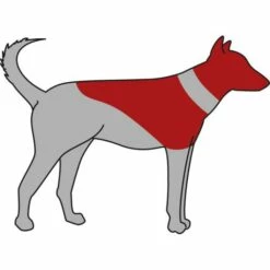 Trixie Collier Protecteur Gonflable -Miscota Soldes Boutique GRA PRO 19540 19544 g