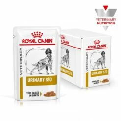 Royal Canin Urinary S/O 12 Royal Canin Urinary S/O -Miscota Soldes Boutique HERO 1 62fcc798520f7 g
