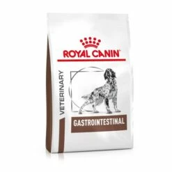 Royal Canin Nourriture Gastro-intestinal 25 Canine