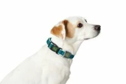 Hunter Collier Vario Basic Thread Basic 7 Hunter Collier Vario Basic Thread Basic -Miscota Soldes Boutique HU66588 HU66589 HU66608 HU66609 HU66628 HU66629 HU66648 HU66649 HU66668 HU66669 HU67164 HU67165 HU67484 HU67485 uso 62ac5774ef263 g