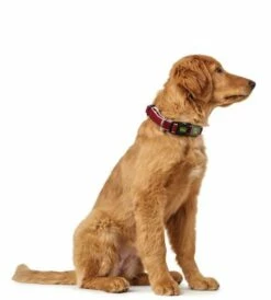 Hunter Collier Vario Basic -Miscota Soldes Boutique HU66590 HU66591 1 62ac646fa4bec g