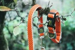 Hunter Col En Fil Vario Basic 8 Hunter Col En Fil Vario Basic -Miscota Soldes Boutique HU66648 HU66649 1 62ac577295e99 g