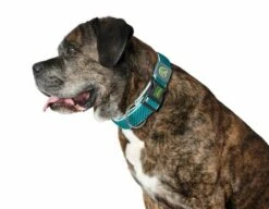 Hunter Collier Hilo Vario Basic M -Miscota Soldes Boutique HU67166 HU67167 1 62ac64c6c08e9 g