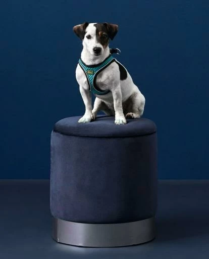 Hunter Harnais Hilo Comfort Bleu 7 Hunter Harnais Hilo Comfort Bleu – Image 5