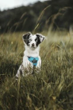 Hunter Divo Bleu Arné -Miscota Soldes Boutique HU67599 HU67600 HU67601 HU67602 HU67603 HU67604 4 62dfbfeb54abc g