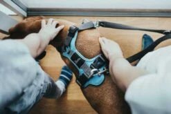 Hunter Divo Bleu Arné -Miscota Soldes Boutique HU67599 HU67600 HU67601 HU67602 HU67603 HU67604 5 62dfbfe8917e7 g