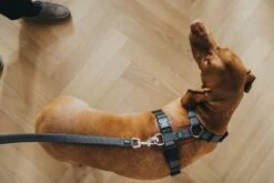 Hunter Divo & Maldon Correa -Miscota Soldes Boutique HU67639 2 637dd8232cb6c g