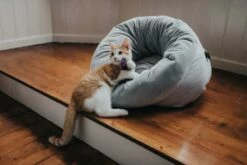 Hunter Lit Miranda Gris -Miscota Soldes Boutique HU67651 5 637e2e8266d8e g