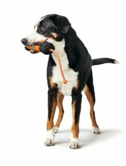 Hunter Formation De La Corde Facturée Portasnacks -Miscota Soldes Boutique HU67865 2 637e070c6cfbd g