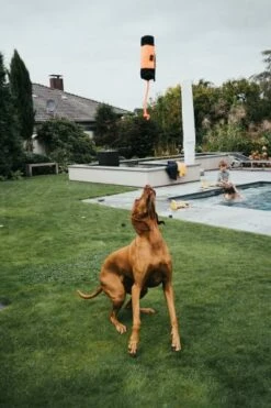 Hunter Formation De La Corde Facturée Portasnacks -Miscota Soldes Boutique HU67865 4 637e070e7932b g