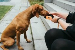 Hunter Formation De La Corde Facturée Portasnacks -Miscota Soldes Boutique HU67865 5 637e070ddd58d g