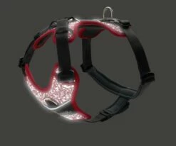 Hunter Le Rouge / Gris Reflète Les Divins Arnés -Miscota Soldes Boutique HU68968 HU68969 HU68970 HU68971 HU68972 HU68973 4 637cc12696004 g