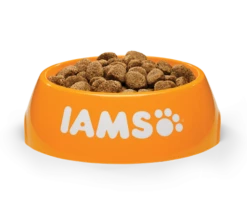 IAMS Tourteau Adult Pro Active Large Breed Riche En Poulet -Miscota Soldes Boutique IAMS Vitality Dog Large Adult Bowl Angle 490544 630494fbed87a g