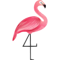 Dashi Laisse Flamingo -Miscota Soldes Boutique Imagem Flamingo 1 624ab94c6a8a1 g