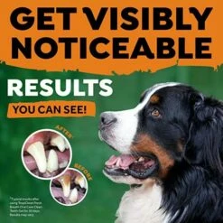 TropiClean Kit D'hygiène Dentaire Avec 1 Gel Et 2 Brosses à Dents Pour Grands Chiens -Miscota Soldes Boutique Kit de Higiene Dental con 1 Gel y 2 Cepillos 64142ebaaad3b g