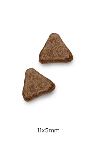 Optimanova Adult Mini Poulet Et Pomme De Terre Grain Free 4 Optimanova Adult Mini Poulet Et Pomme De Terre Grain Free – Image 2