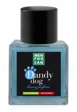 Men For San Parfum De Chien Dandy -Miscota Soldes Boutique MFP029276 637e32e671be4 g